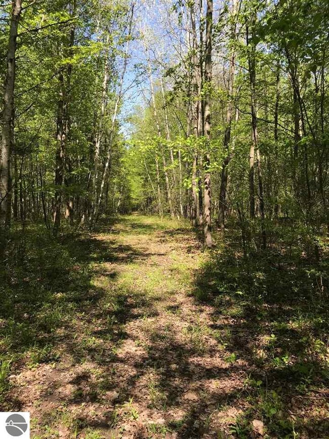 266 Swartz Rd, Twining, MI 48766 - photo 6