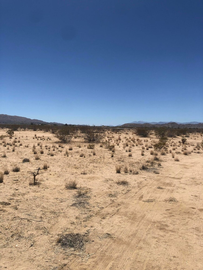 5320 Arizona Ave, Joshua Tree, CA 92252 - photo 5