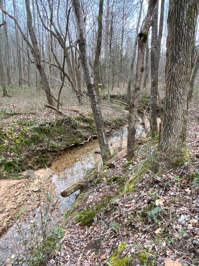 159 Joe Harris Ln, Cookeville, TN 38506 - photo 5