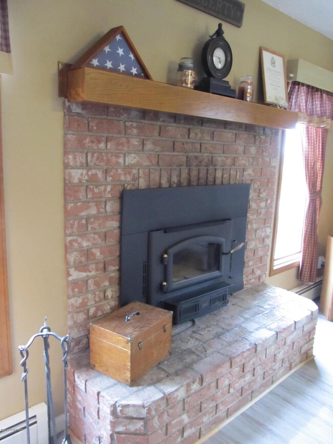 Wood burning insert