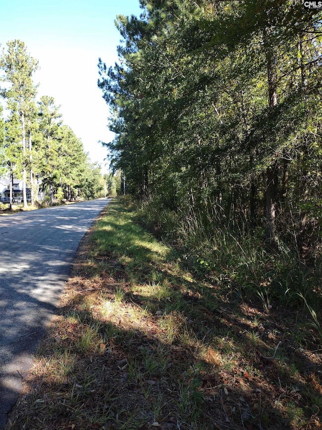 TBD Sam Koon Rd, Little Mountain, SC 29075 - photo 5