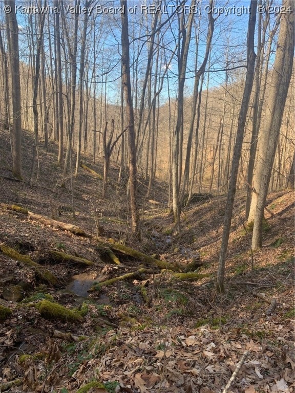 TBD Buckeye Creek Rd, Sutton, WV 26601 - photo 7