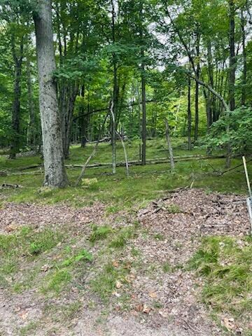 3 Lot view