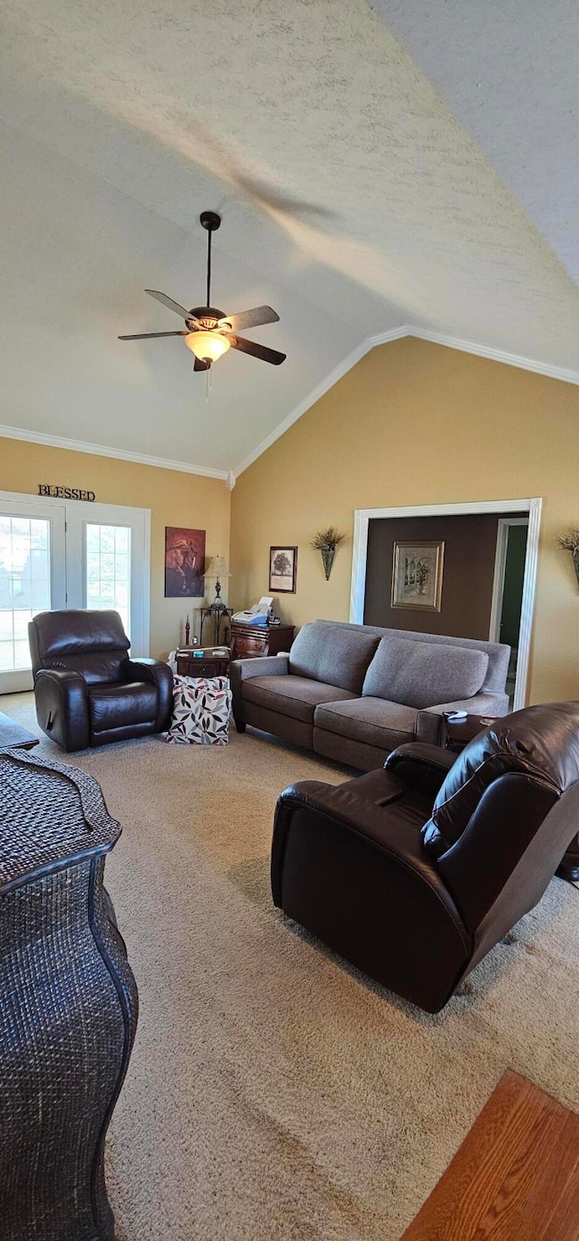 3004 Greer Spring St, West Plains, MO 65775 - photo 7