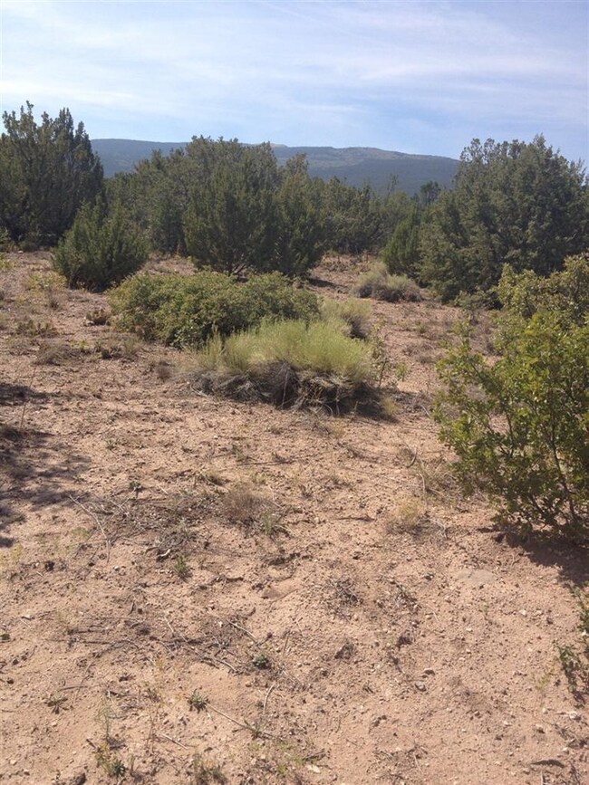 12 Camino Don Juan, Placitas, NM 87043 - photo 3