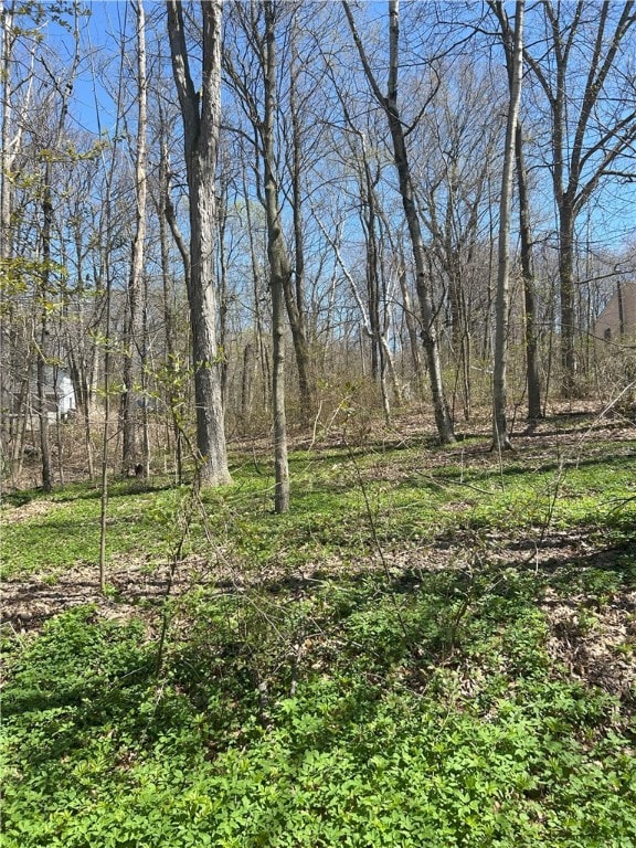 0 Janes Rd, Castile, NY 14530 - photo 4