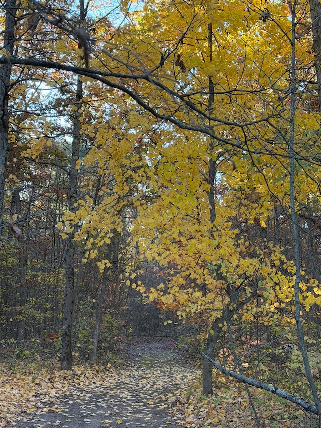 V/L Maple Hill Rd unit Parcel A, Howard City, MI 49329 - photo 6