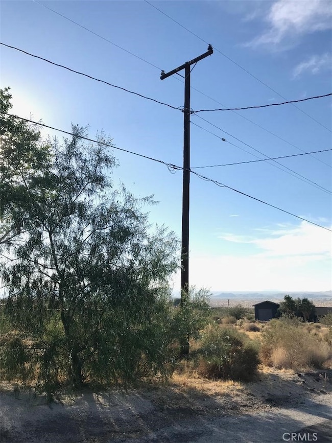 7137 Mount Lassen Ave, Joshua Tree, CA 92252 - photo 3