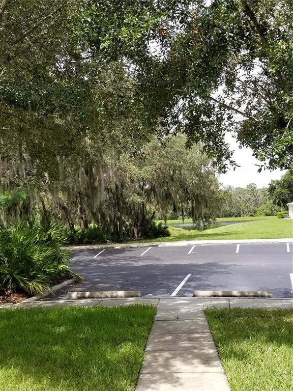 View from the front of the house