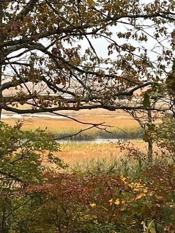 100 Forest Rd, Salisbury, MA 01952 - photo 4