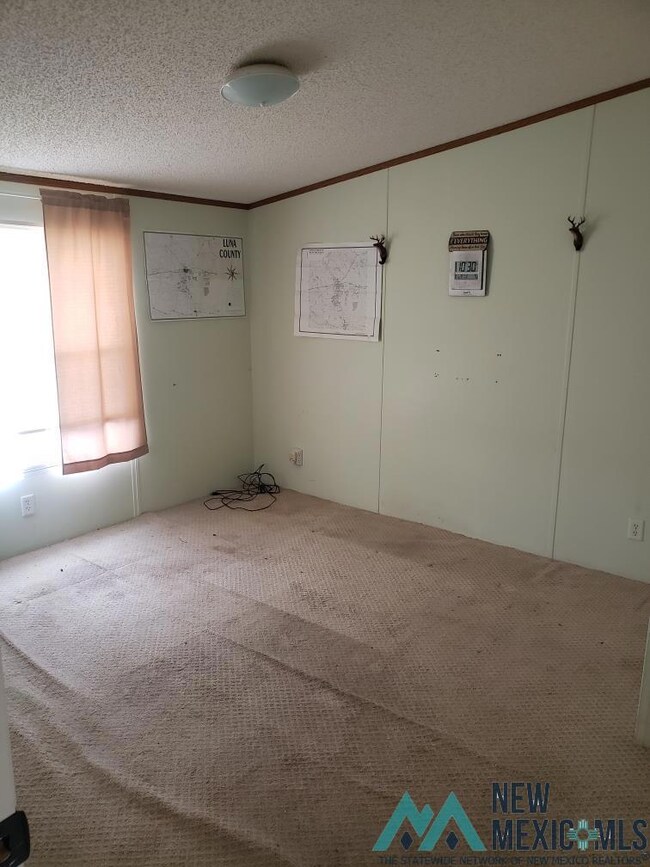 14030 Solana Rd SE, Deming, NM 88030 - photo 5
