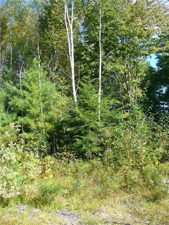 Lot 3R-30 Main Rd, Georgetown, ME 04548 - photo 3