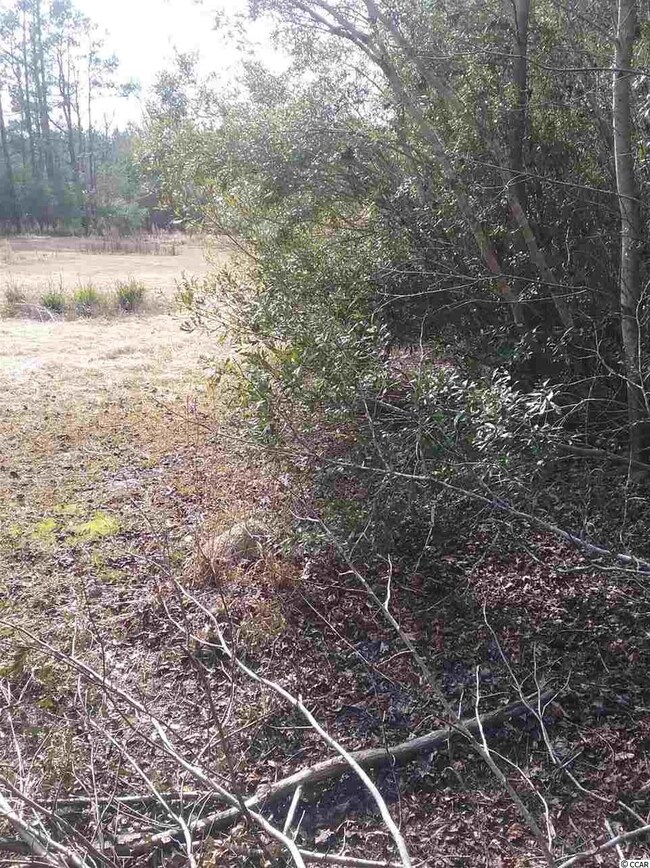 3766 Pee Dee Hwy unit Lot next to 3748 Pee, Conway, SC 29527 - photo 7