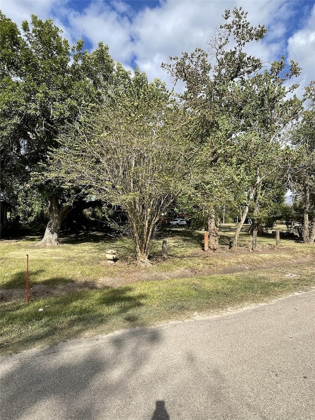 0000 Caribe Ln, Houston, TX 77047 - photo 2