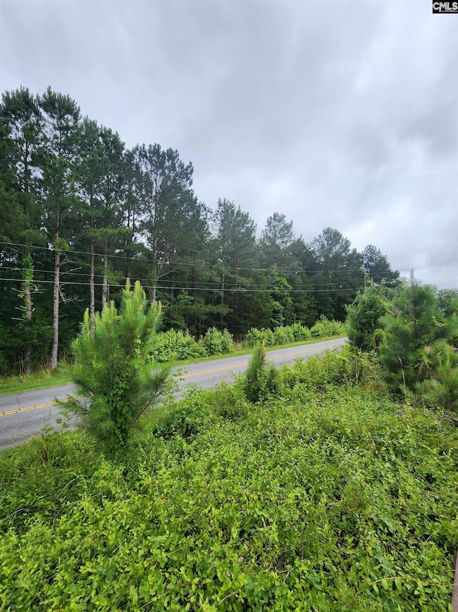 0 Elm St, Prosperity, SC 29127 - photo 3