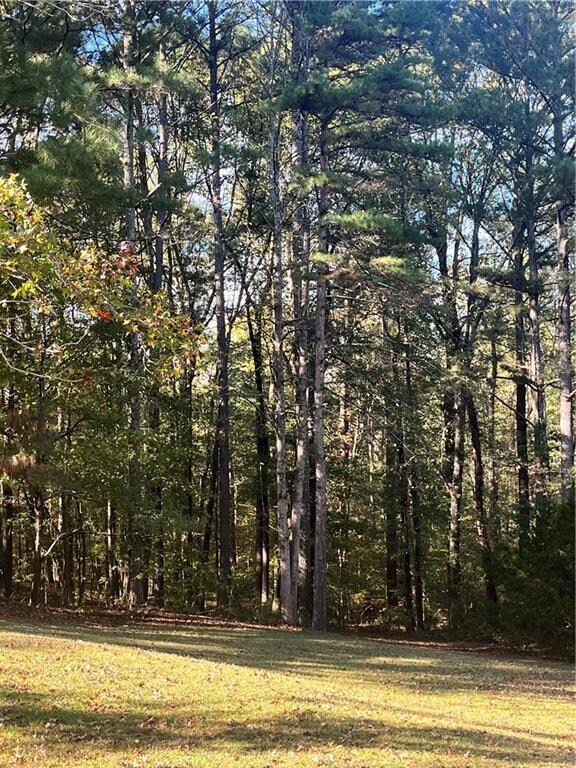 1675 Beagle Run NW unit 1, Monroe, GA 30656 - photo 4