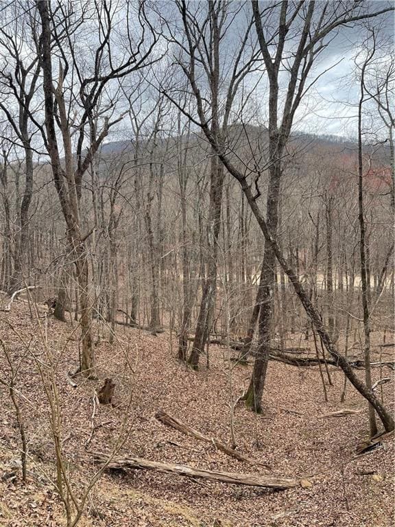 LT3150 Crippled Oak Trail, Jasper, GA 30143 - photo 4