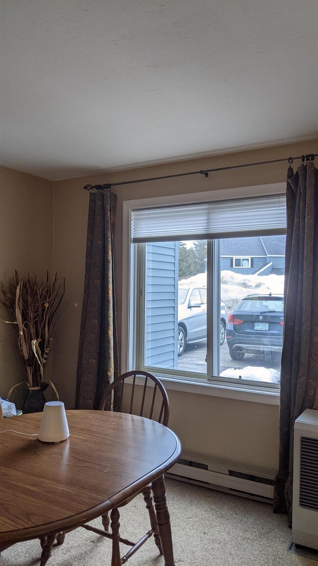 10 Adams Dr unit 18, Woodstock, NH 03262 - photo 3