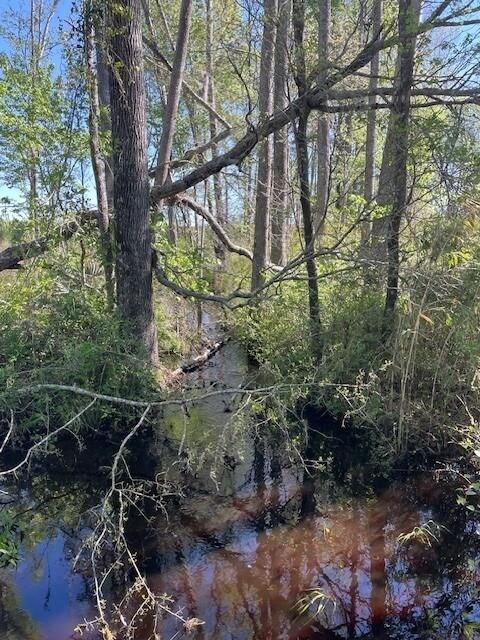 0 Halcyondale Loop, Sylvania, GA 30467 - photo 3