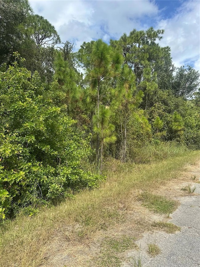 0 Kamain Rd unit MFRN6141272, North Port, FL 34288 - photo 3