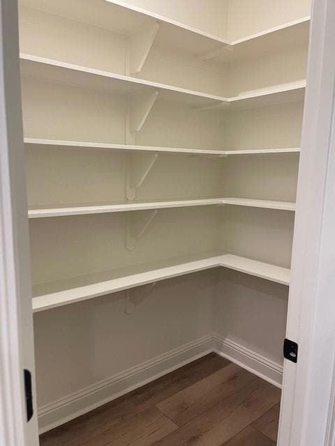 Kitchen Pantry