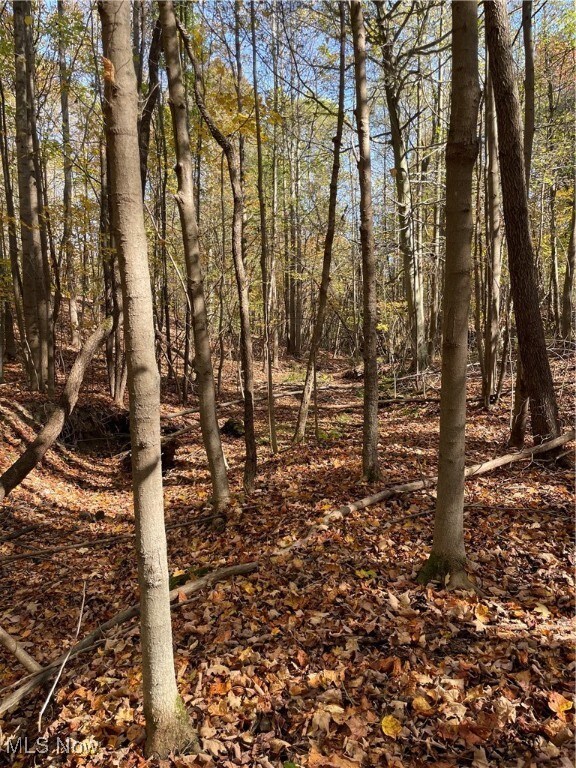 S/L 5 Ridge, Chardon, OH 44024 - photo 3