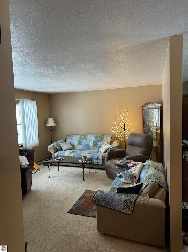 515 Thumb Lake Rd, Vanderbilt, MI 49795 - photo 2