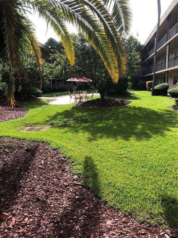 Beautiful Courtyard