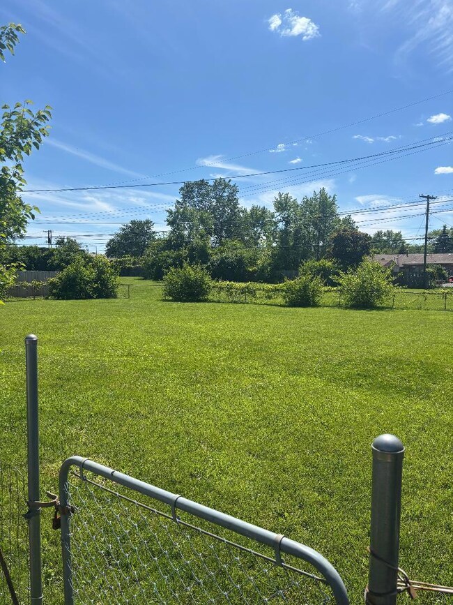 Backyard 2