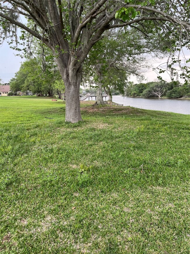 1175 Riverview Ranch Dr, Brazoria, TX 77422 - photo 4