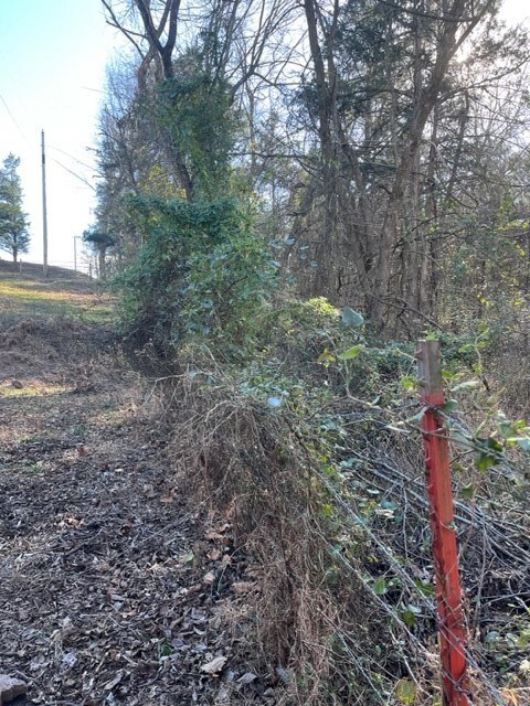 0 McCord (Cr 40) Rd, Elkins, AR 72727 - photo 5