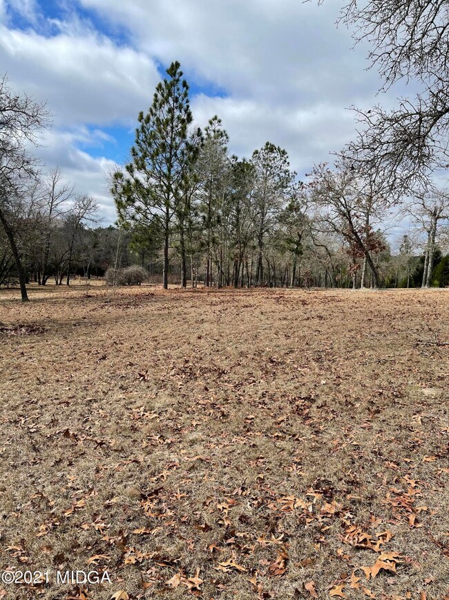 143 Aspen Dr, Macon, GA 31216 - photo 3