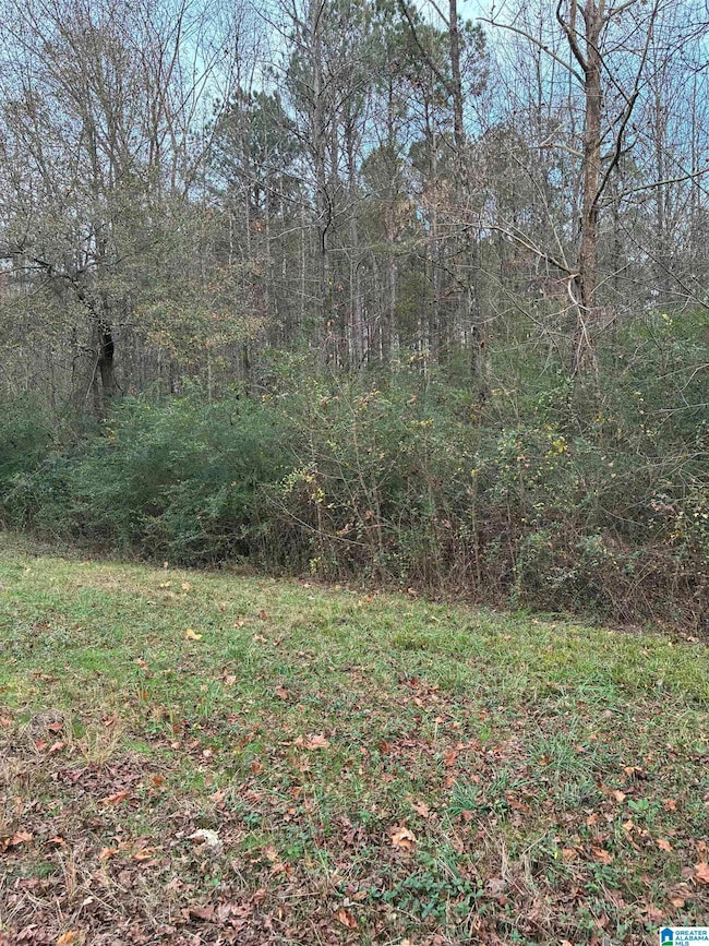 0 Alabama 160 unit 21437600, Hayden, AL 35079 - photo 2