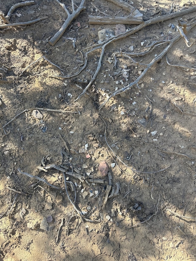 0 Nsn Highway 36 unit 25747167, Fence Lake, NM 87513 - photo 5