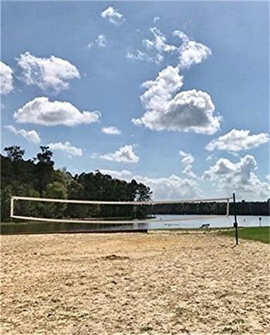 Gather with family and friends for fun day of sand volleyball!