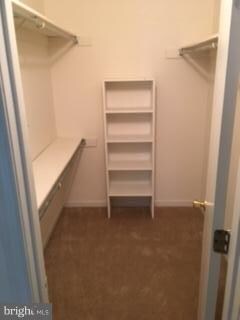 11984 Cardamom Dr unit 11984, Woodbridge, VA 22192 - photo 4