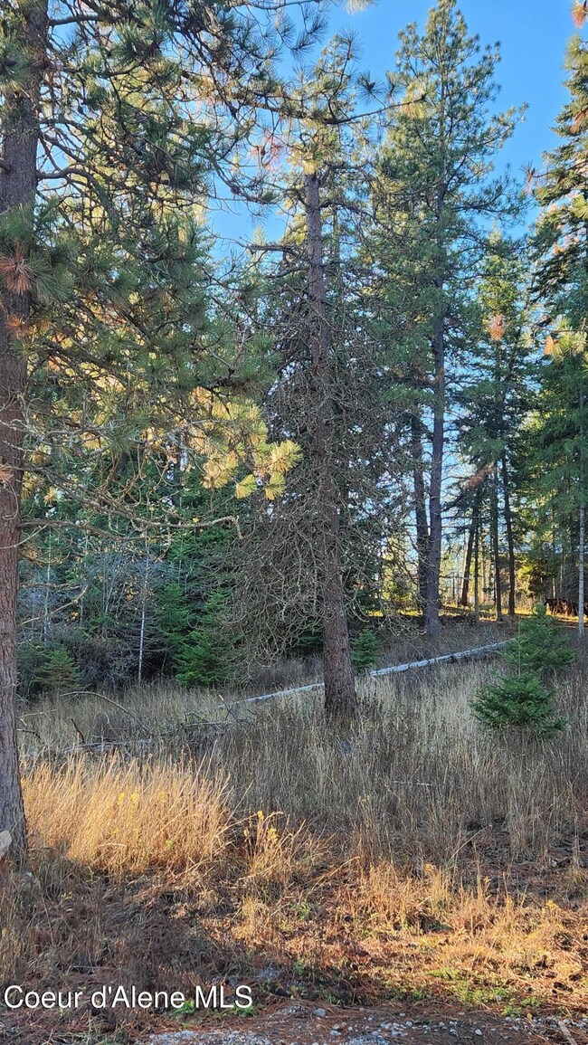 1217 S Ponderosa Dr, Coeur D'Alene, ID 83814 - photo 5