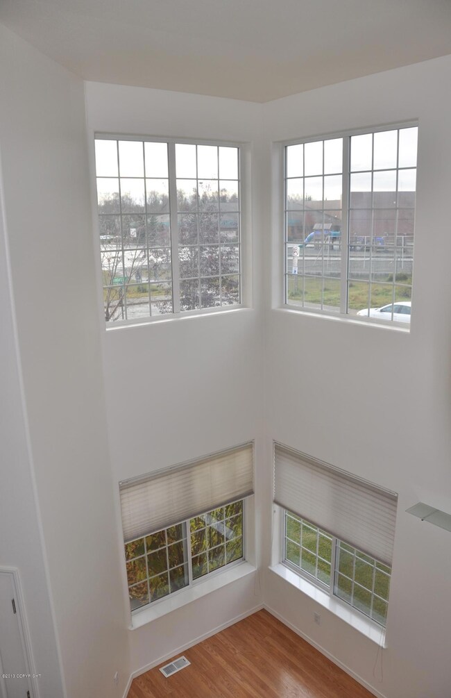 Family Room Windows