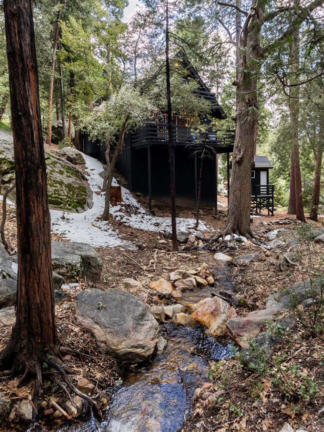 Rising Glen Road Idyllwild-38