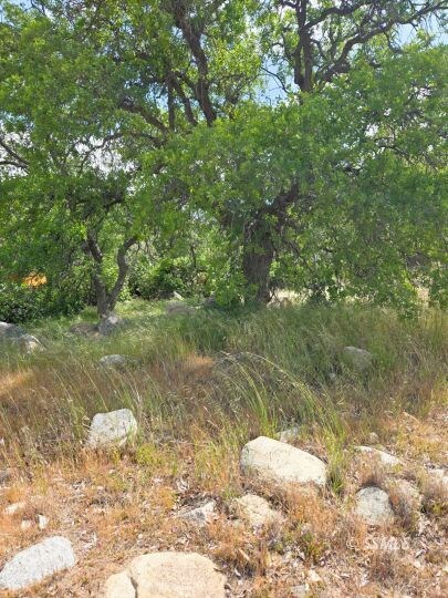 349-127-14, Bodfish, CA 93205 - photo 7