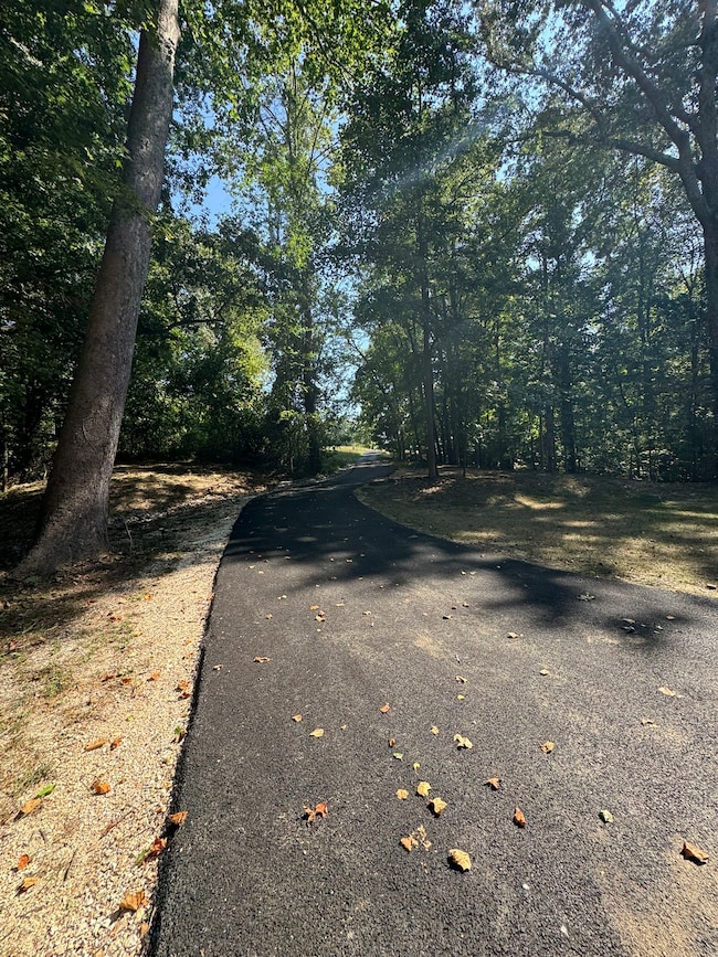 710 Third St, Paris, TN 38242 - photo 5