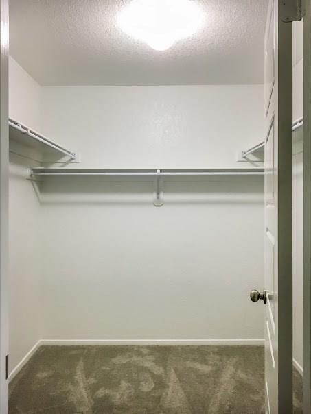 Sample photo of walk-in closet in master bedroom.