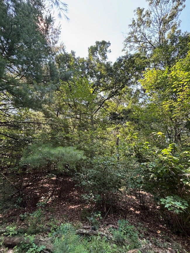 1107 Fawn Ct, Grand Marsh, WI 53936 - photo 4