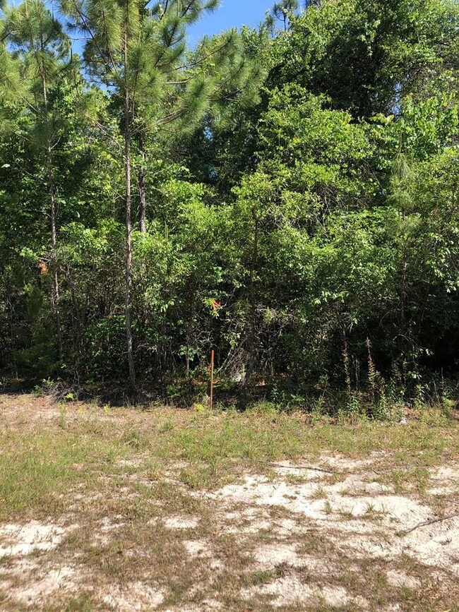 L Sugar Hill Rd, Steinhatchee, FL 32359 - photo 3