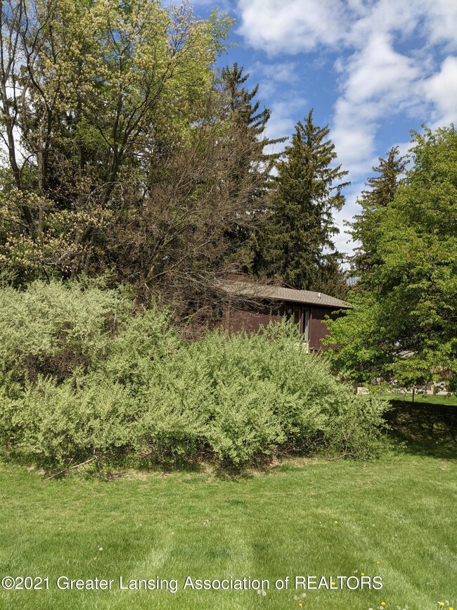PXL_20210510_173848761