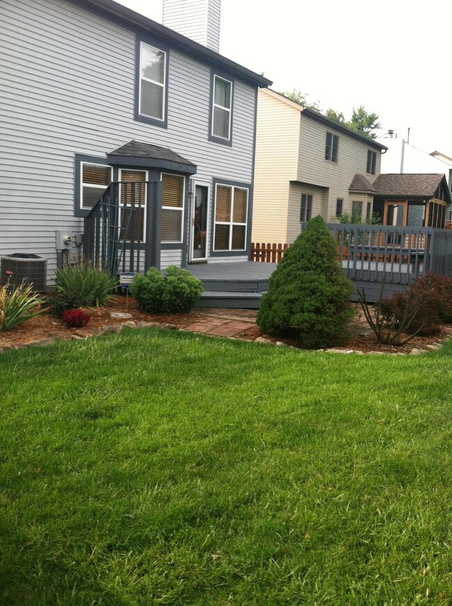 Yard and deck
