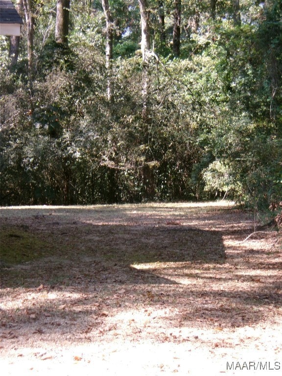 3 Pecan Cir, Selma, AL 36701 - photo 3