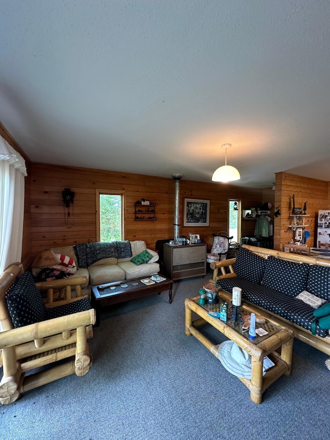 17415 E Pine Dr NW, Angle Inlet, MN 56711 - photo 4