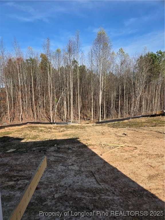 311 One Tree Hill, Sanford, NC 27330 - photo 3