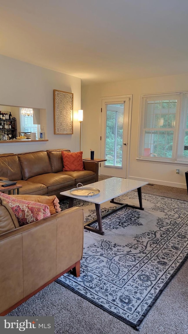 311 Union Ave unit A, Salisbury, MD 21801 - photo 6